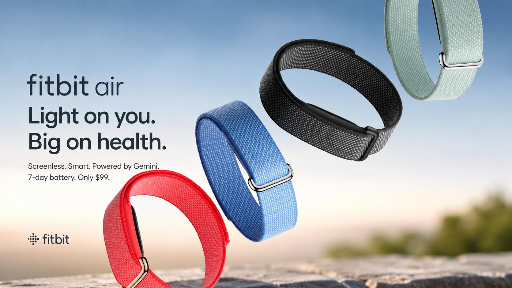 Fitbit Air